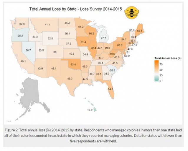 CREDIT: BEE INFORMED PARTNERSHIP/APIARY INSPECTORS OF AMERICA/USDA