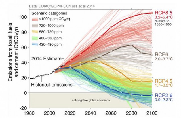 RCP 8.5 is the most dramatic warming scenario, the one that will cause the most changes in ocean biodiversity. CREDIT: global carbon project