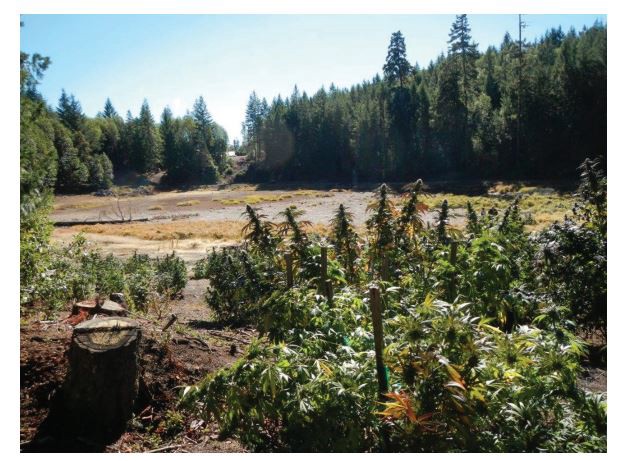 CREDIT: Photograph: Scott Bauer/Bioscience