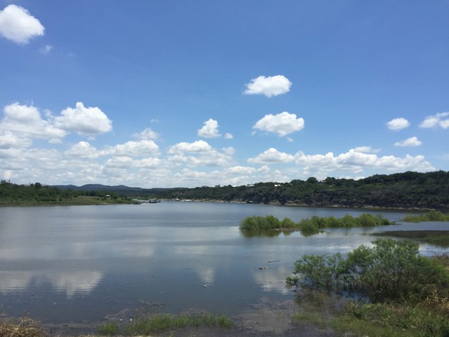 The Spicewood Beach waterfront on June 1, 2015. Underwater trees are evidence of the change in water levels after Texas experienced its wettest May on record. CREDIT: ThinkProgress/ Ari Phillips