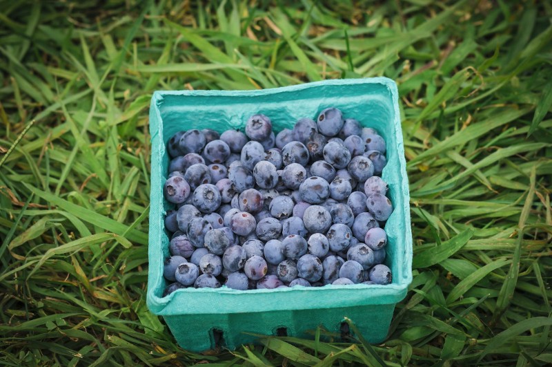 CREDIT: SHUTTERSTOCK