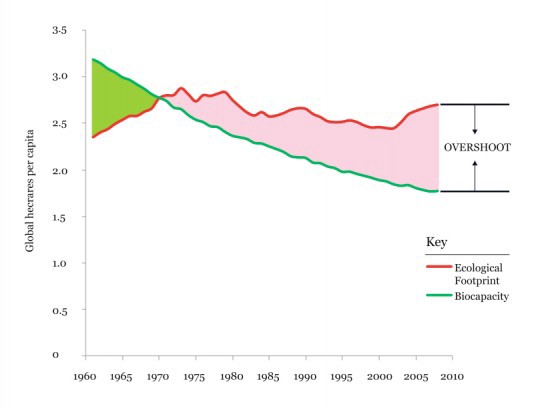 Homo sapiens already use the equivalent of 1.5 Earths to support our consumption. CREDIT: World Wildlife Fund