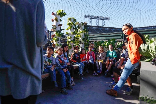 Visiting children get a lesson in sustainable agriculture at AT&T; Park. CREDIT: San Francisco Giants