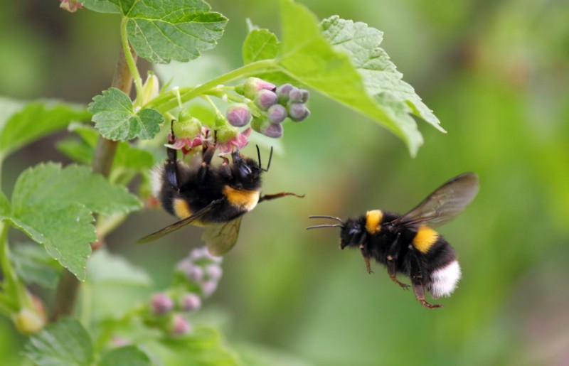 CREDIT: SHUTTERSTOCK