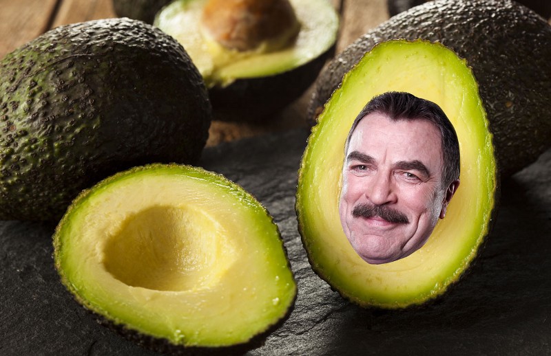 CREDIT: GRAPHIC BY PATRICK SMITH/AP PHOTO/SHUTTERSTOCK