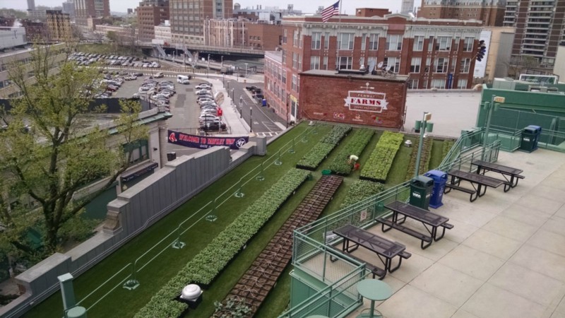 CREDIT: GREEN CITY GROWERS