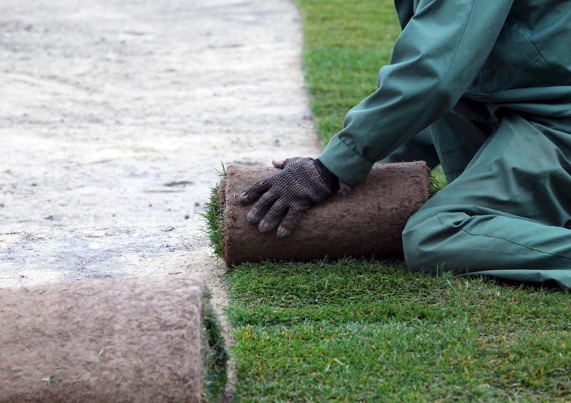 CREDIT: SHUTTERSTOCK