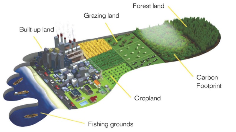 Carbon is just part of a system we all draw on. CREDIT: COURTESY THE GLOBAL FOOTPRINT NETWORK