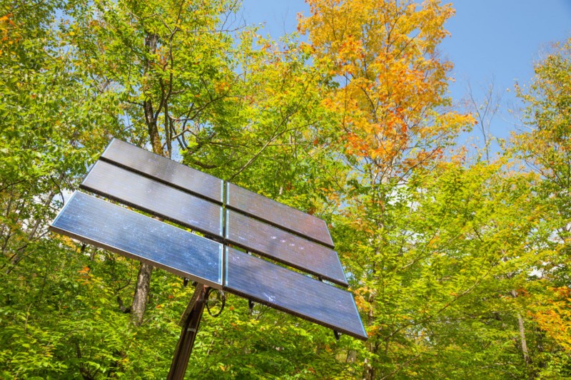 CREDIT: SHUTTERSTOCK