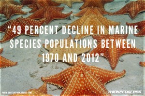 CREDIT: Dylan Petrohilos/ThinkProgress