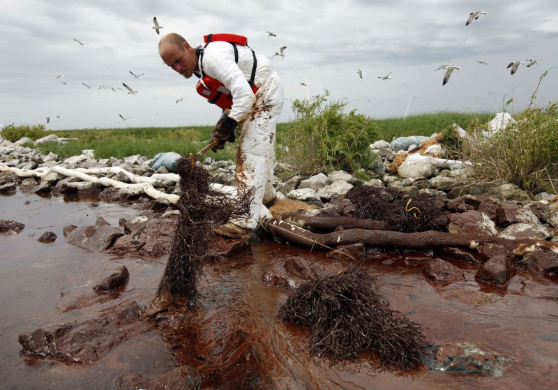 In this June 4, 2010 file photo, a worker picks up blobs of oil with absorbent snare on Queen Bess Island at the mouth of Barataria Bay near the Gulf of Mexico in Plaquemines Parish, La. CREDIT: AP PHOTO/GERALD HERBERT, FILE
