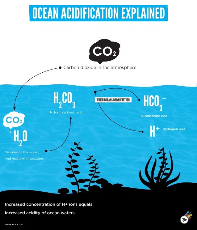 CREDIT: Dylan Petrohilos/ThinkProgress