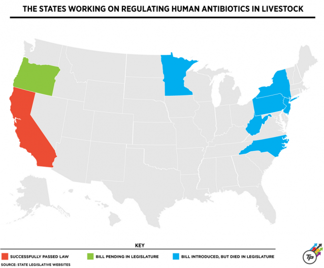 CREDIT: ThinkProgress/Dylan Petrohilos