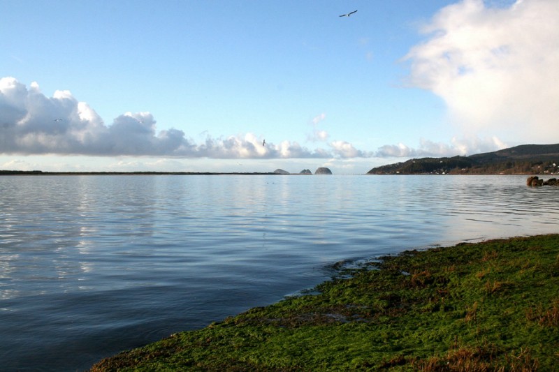 Netarts Bay, in Oregon, where Whiskey Creek Shellfish Hatchery is located. CREDIT: WIKIMEDIA