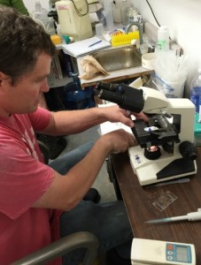 Alan Barton inspects oyster larvae at Whiskey Creek. CREDIT: Natasha Geiling/ThinkProgress