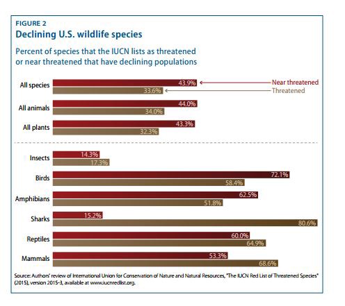 CREDIT: Center for American Progress