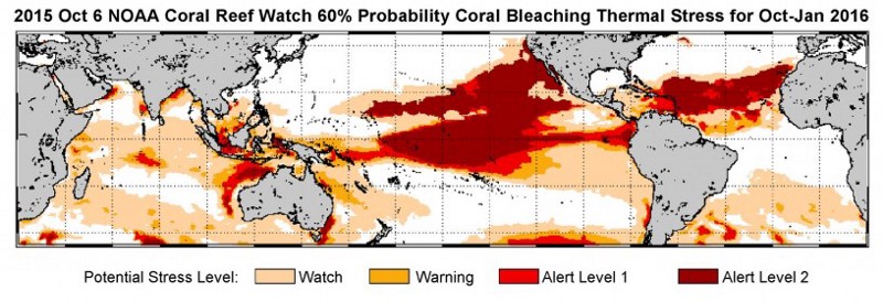 NOAA’s standard 4-month bleaching outlook shows a threat of bleaching continuing in the Caribbean, Hawaii and Kiribati, and potentially expanding into the Republic of the Marshall Islands. CREDIT: NOAA