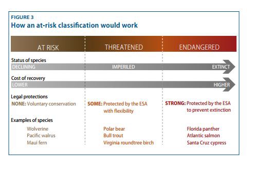 CREDIT: Center for American Progress