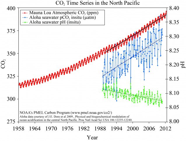 A chart comparing atmospheric CO2 to measured seawater CO2 and pH. CREDIT: NOAA PMEL