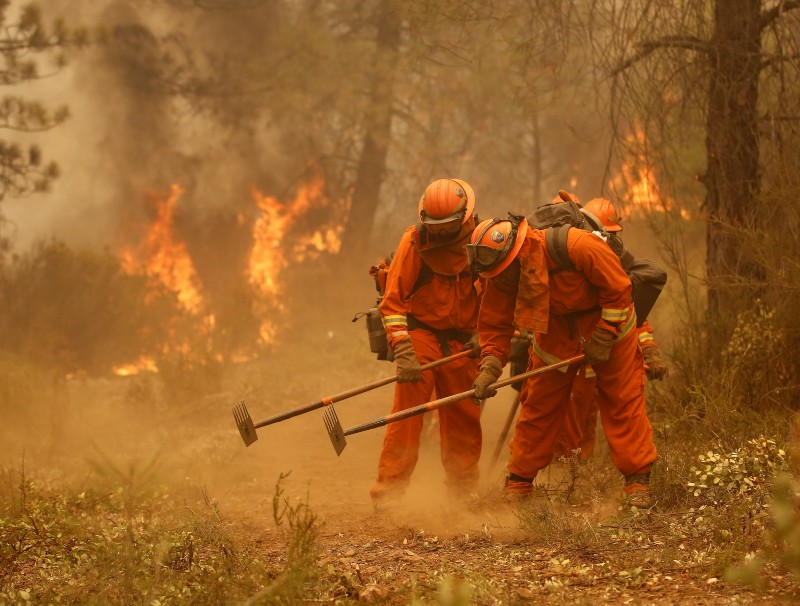 Inmates help fight a fire near Sheep Ranch, CA, in September CREDIT: AP PHOTO/RICH PEDRONCELLI, FILE