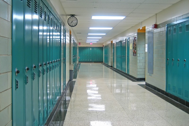 CREDIT: SHUTTERSTOCK/LISSANDRA MELO