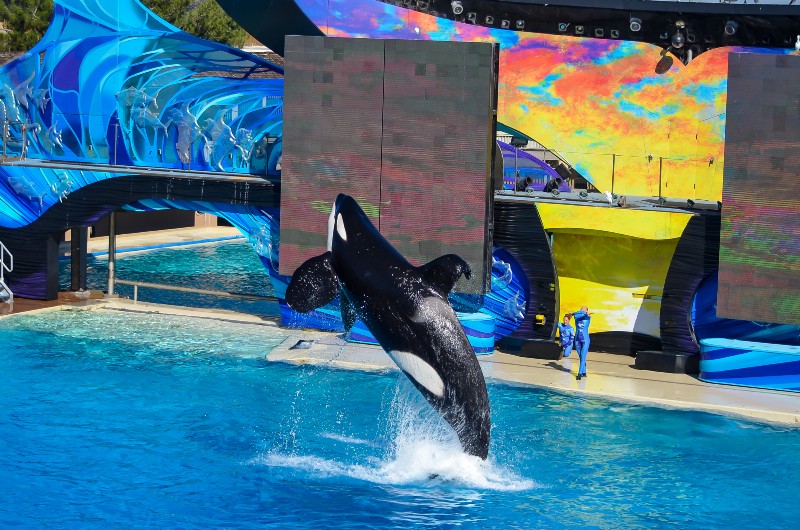 CREDIT: SHUTTERSTOCK