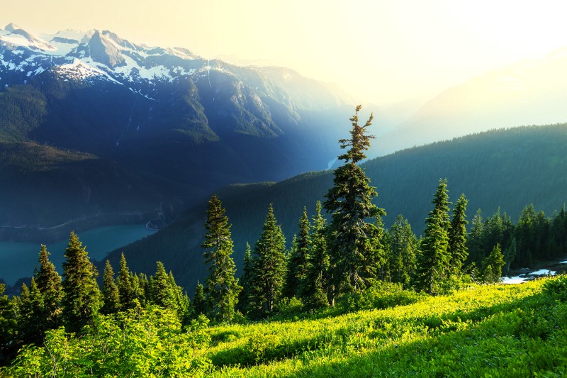 CREDIT: SHUTTERSTOCK