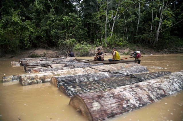 In this March 17, 2015 photo, Ashaninka Indian men, identified by locals as illegal loggers, tie tree trunks together to move them along the Putaya River near the hamlet of Saweto, Peru. CREDIT: AP Photo/Martin Mejia