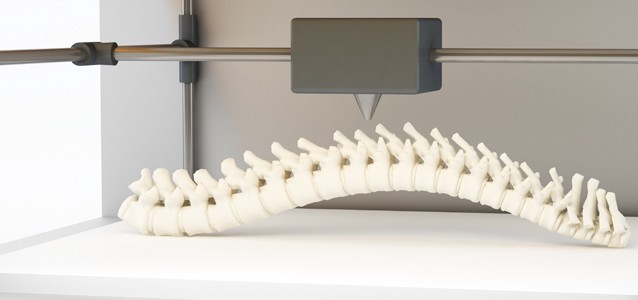 3D printed human spine. CREDIT: Shutterstock