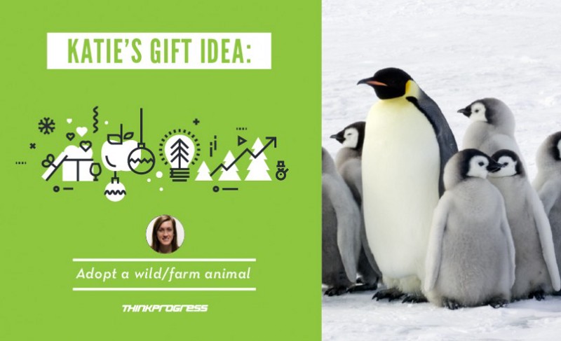 CREDIT: DYLAN PETROHILOS/THINKPROGRESS/AP