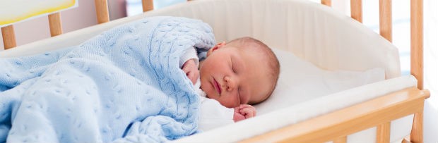 CREDIT: Shutterstock