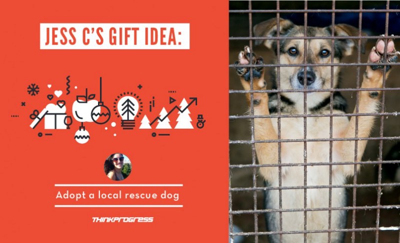 CREDIT: Dylan Petrohilos/ThinkProgress/Shutterstock