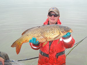 A common carp is pulled out of a lake at the Malheur National Wildlife Refuge. CREDIT: FWS.GOV
