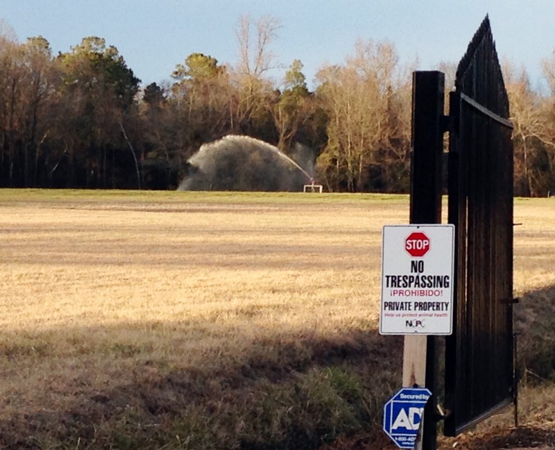 In this Jan. 29, 2015 photo, a sprayer soaks a field with liquefied manure and urine from a large-scale hog farm in Duplin County, N.C. CREDIT: AP PHOTO/EMERY DALESIO