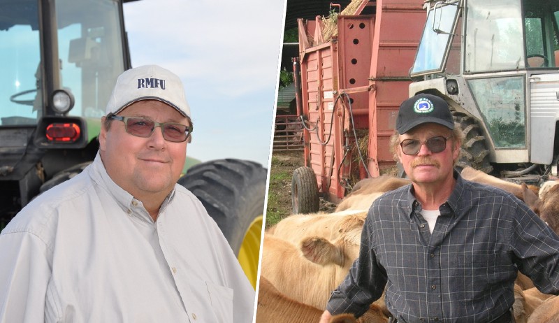 CREDIT: RMFU/JOHN GILBERT/DYLAN PETROHILOS