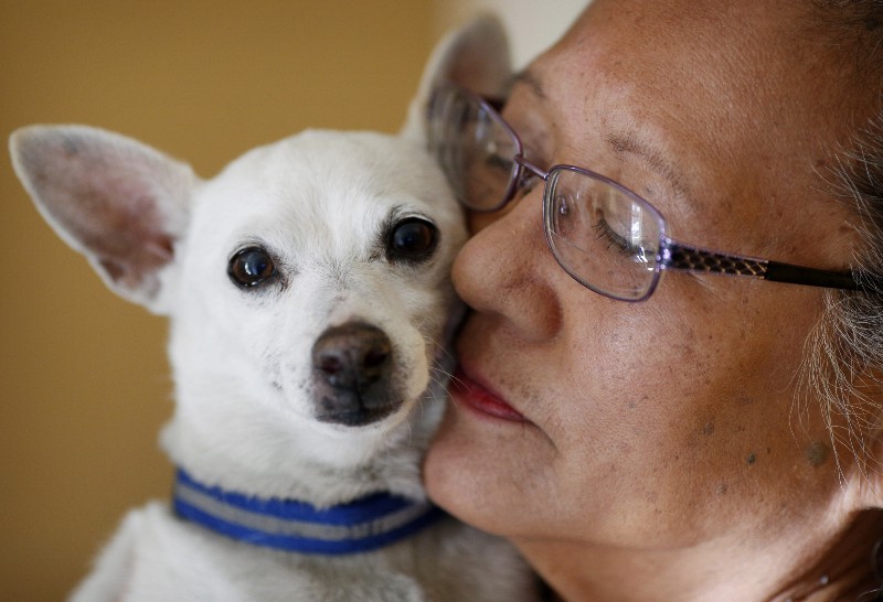 Cynthia Dias, a formerly homeless veteran who will be a guest at the State of the Union CREDIT: AP PHOTO/JOHN LOCHER
