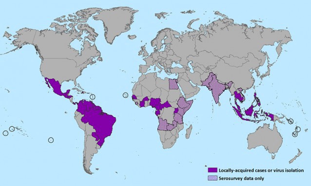Countries that have past or current evidence of Zika virus transmission (as of January 2016) CREDIT: CDC