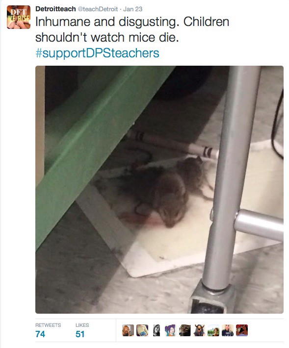 CREDIT: @TEACHDETROIT TWITTER ACCOUNT