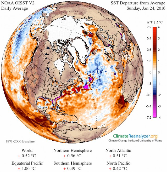 Sea surface temperature (SST) anomalies for Sunday, January 24 showing very warm water off the East Coast and a cold blob of water south of Greenland. Recent climate research connects the two.