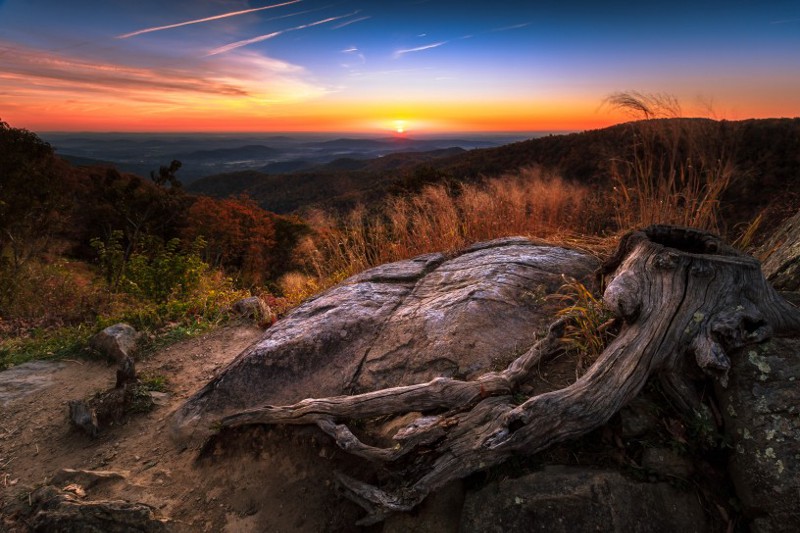 View of the Shenandoah National Park. CREDIT: Shutterstock