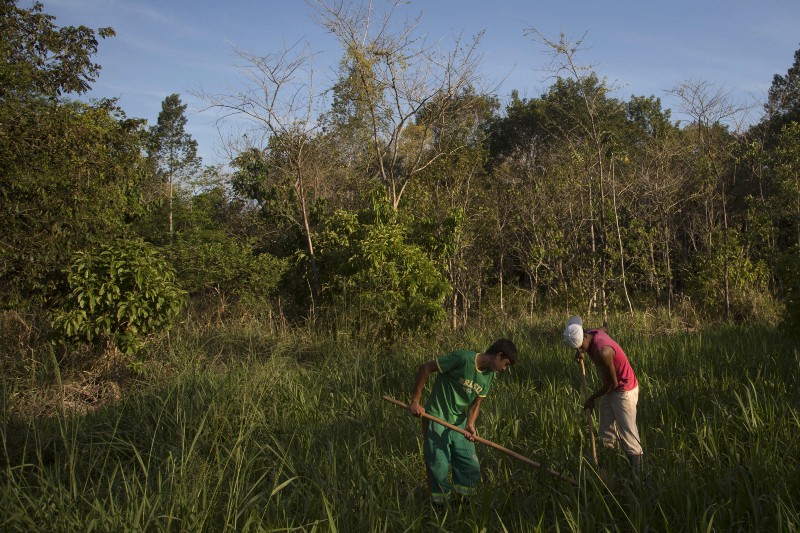 In this Oct. 10, 2012 photo, Patrick da Silva, left, and Talles de Almeida work on a reforestation project in the Atlantic Forest region of Silva Jardim, in Brazil’s state of Rio de Janeiro. CREDIT: AP PHOTO/FELIPE DANA