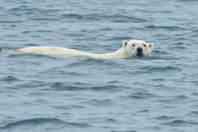 Nothing to see here. CREDIT: SHUTTERSTOCK