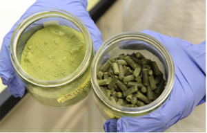 CREDIT: Courtney Coufal