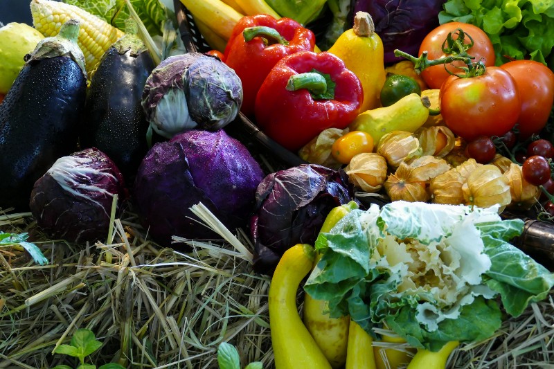 CREDIT: SHUTTERSTOCK