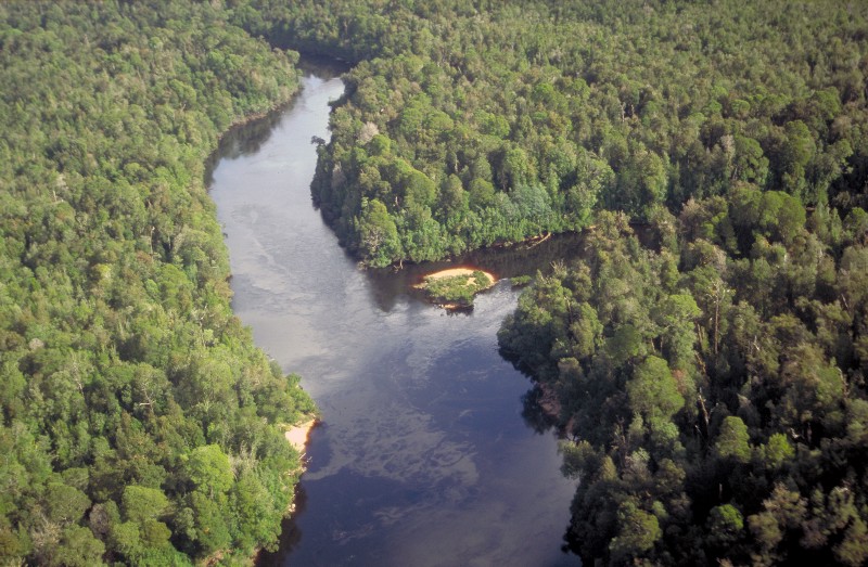 CREDIT: SHUTTERSTOCK