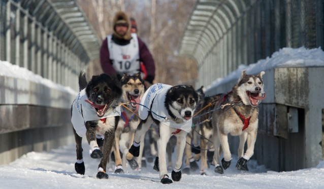 CREDIT: AP Photo/Michael Dinneen