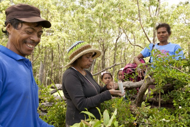 Aleta Baun, center. CREDIT: Goldman Environmental Prize