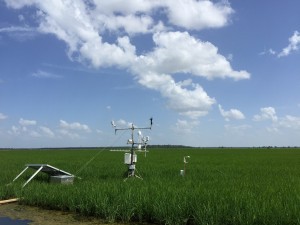 Measuring methane reductions on Isbell’s field. CREDIT: Mark Isbell