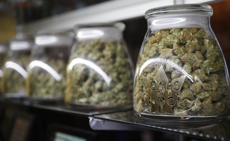 Marijuana buds branded by Snopp Dogg in Denver CREDIT: AP Photo/David Zalubowski