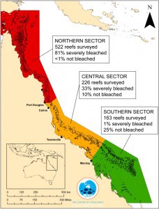 In total 93 percent of the reefs have been affected by coral bleaching — many severely. CREDIT: James Cook University Townsville